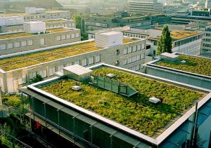 Ideia Decorar telhado-ecologico.jpg2 telhado ecologico.jpg2