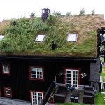 Ideia Decorar Telhado ecológico telhado ecologico.jpg4